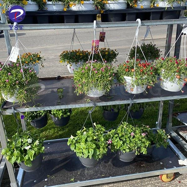 Dutch Trolley Flower
