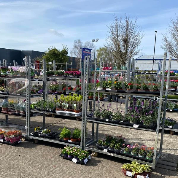 Шта су хортикултурна данска колица?