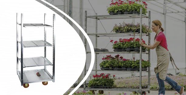 Нурсери Царт