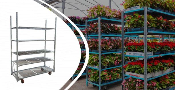 Плант Троллеи