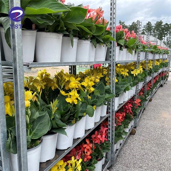 Danish Trolley For Plants