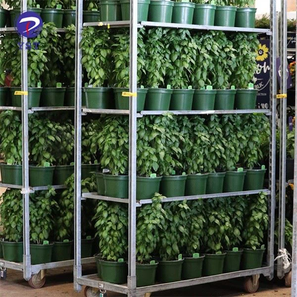 Flower Plant Transport Trolley