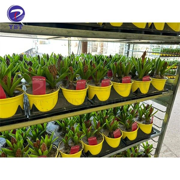 Metal Nursery Plant Display Racks