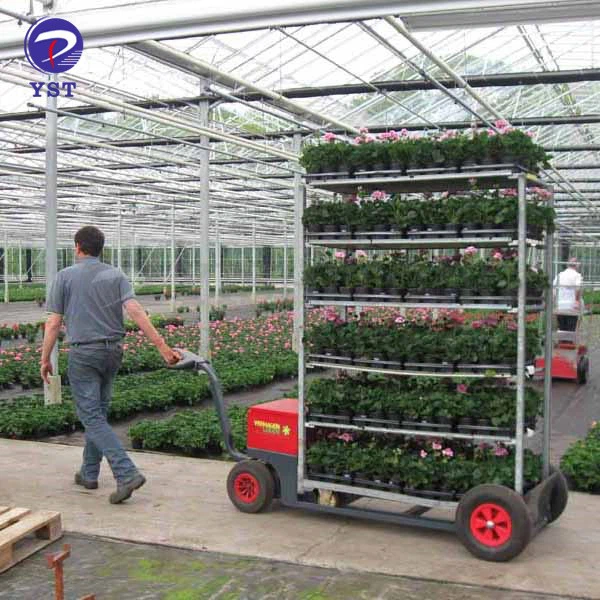 Metal Nursery Plant Display Racks