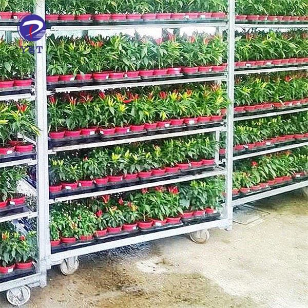Outdoor Plant Nursery Trolley