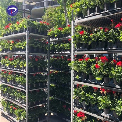 Колица за транспорт биљака