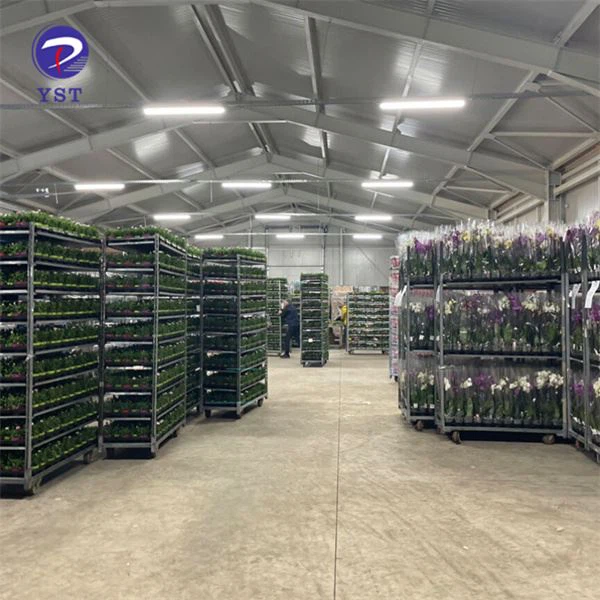 Danish Trolley For Greenhouse