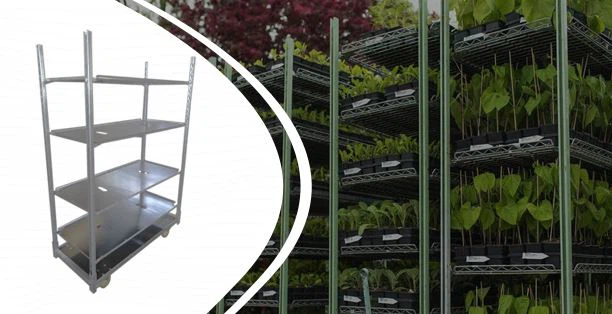 Данска колица