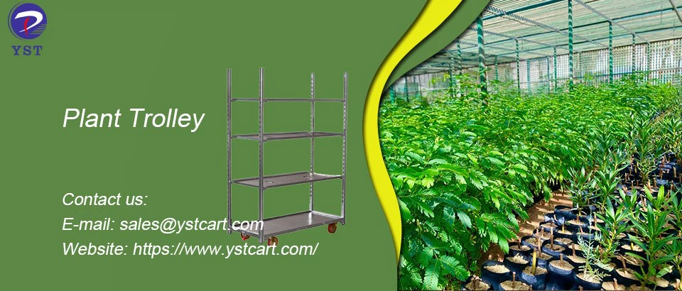 Plant Trolley-1 Plant Trolley-1
