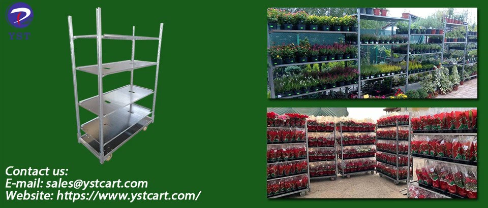 Danish Trolleys for Plant-11 Danish Trolleys for Plant-11