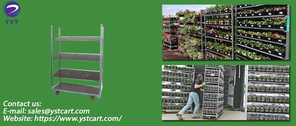 Greenhouse Nursery Trolleys-9 Greenhouse Nursery Trolleys-9