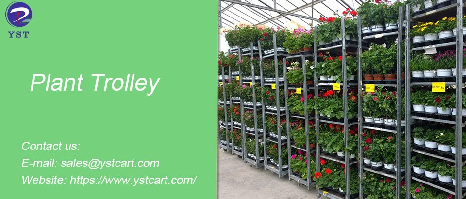 Plant Trolley-8 Plant Trolley-8