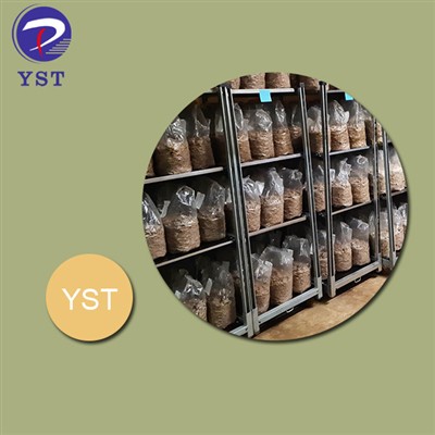 Повећање ефикасности и продуктивности са данским колицима у производњи печурака